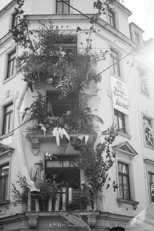 Mirabelle - Wohnen In Der Dresdner Neustadt Dresden Ngoại thất bức ảnh